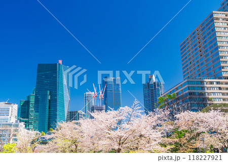 【東京都】桜満開の東京ミッドタウン風景 【東京都】桜満開の東京ミッドタウン風景 118227921