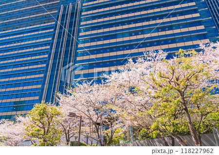 【東京都】桜満開の東京ミッドタウン風景 118227962