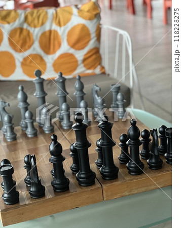 チェスの駒 118228275