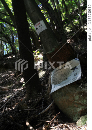 登山道にあるクマ注意の看板 118228650