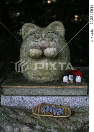 びしゃもん子猫 118228658