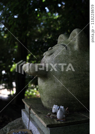 びしゃもん子猫とカナヘビ 118228659