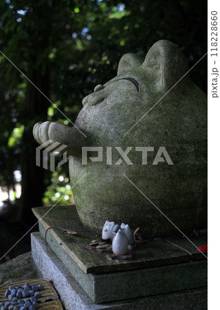 びしゃもん子猫とカナヘビ びしゃもん子猫とカナヘビ 118228660