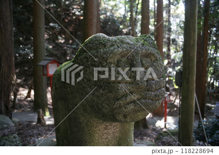 神社にある狛虎 神社にある狛虎 118228694