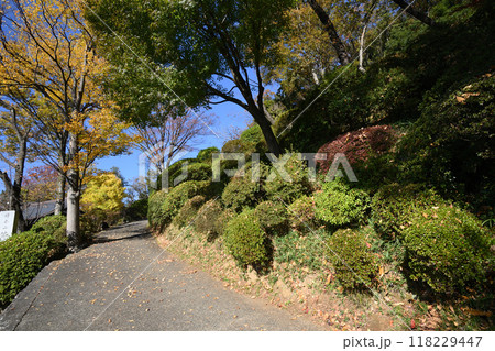 晩秋の長尾の里 118229447