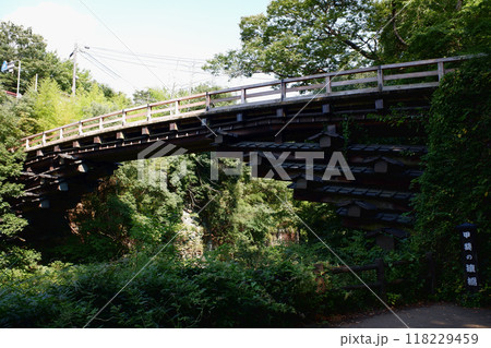 山梨県　甲斐の猿橋 118229459