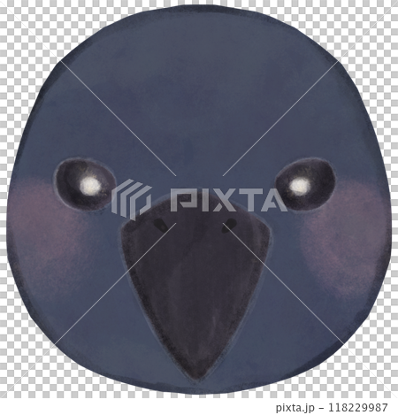 Cute crow illustration face 118229987