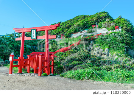 山口県長門市　人気の観光地　快晴の元乃隅神社 118230000