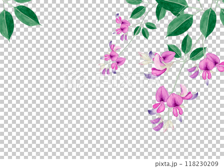 萩 秋の花　背景 フレーム　水彩 イラスト 118230209