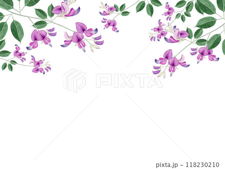 萩 秋の花　背景 フレーム　水彩 イラスト 118230210