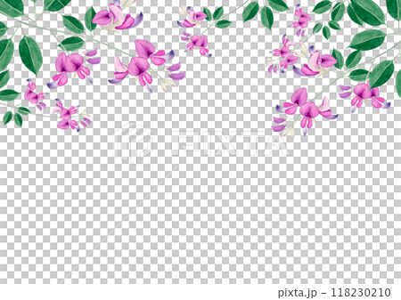 萩 秋の花　背景 フレーム　水彩 イラスト 118230210