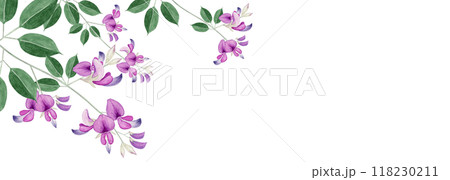 萩 秋の花　背景 フレーム　水彩 イラスト 118230211