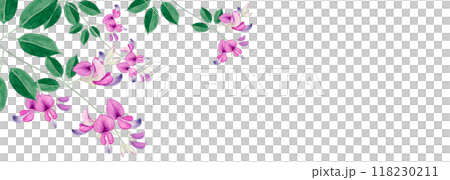 萩 秋の花　背景 フレーム　水彩 イラスト 118230211