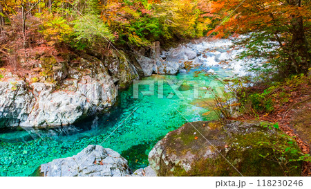 秋の阿寺渓谷 秋の阿寺渓谷 118230246
