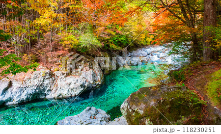 秋の阿寺渓谷 118230251