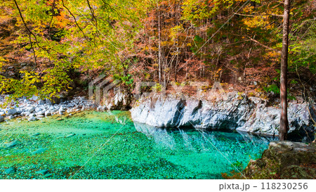 秋の阿寺渓谷 118230256