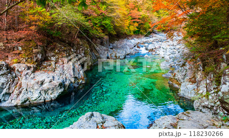 秋の阿寺渓谷 118230266