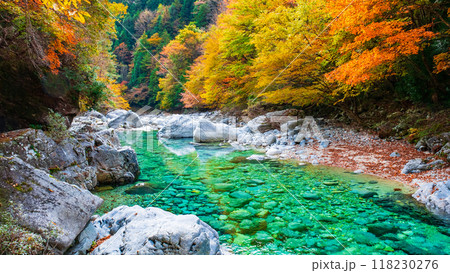 秋の阿寺渓谷 118230276