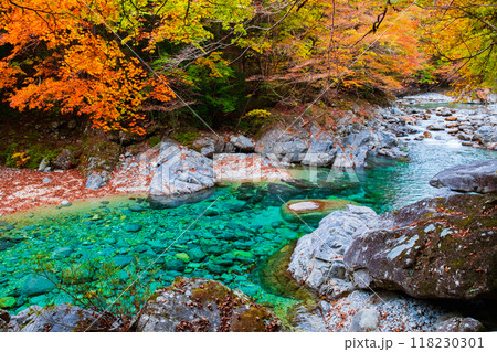 秋の阿寺渓谷 秋の阿寺渓谷 118230301