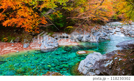 秋の阿寺渓谷 秋の阿寺渓谷 118230302
