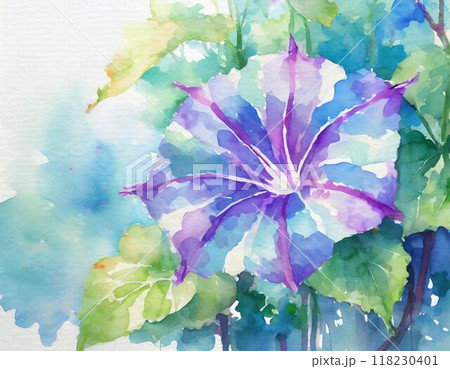 水彩画で描かれた朝顔 水彩画で描かれた朝顔 118230401