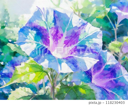 水彩画で描かれた朝顔 水彩画で描かれた朝顔 118230403