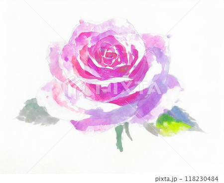 水彩画で描かれたバラ 118230484