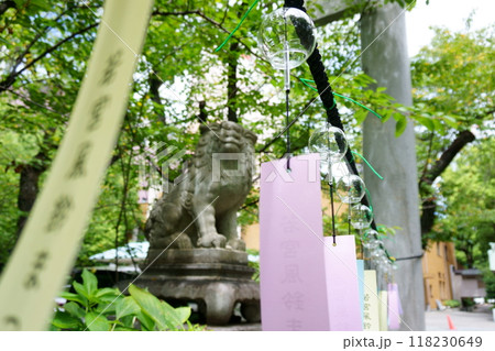 神社の境内の風鈴 風鈴まつり 若宮八幡社 神社の境内の風鈴 風鈴まつり 若宮八幡社 118230649