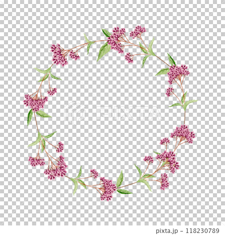 Fujibakama Autumn Flower Frame Wreath Watercolor Illustration 118230789