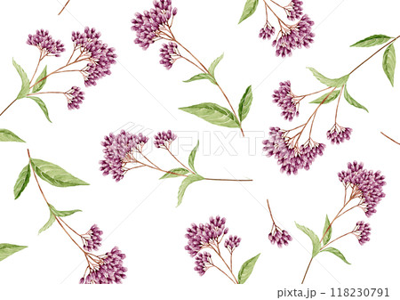 藤袴　秋 花　背景 模様 パターン　水彩 イラスト 118230791