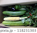 収穫した夏野菜 118231303