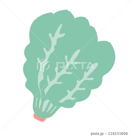 ほうれん草　イラスト 118231608