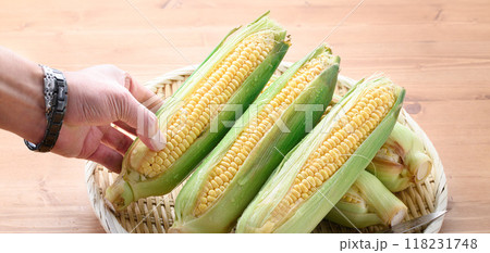 収穫したとうもろこし 118231748