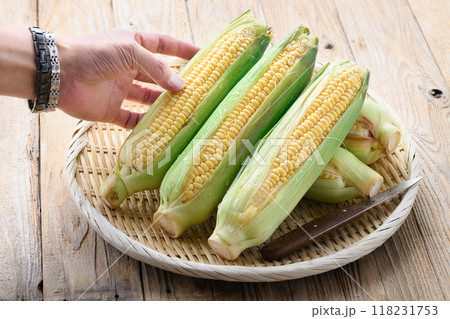 収穫したとうもろこし 118231753