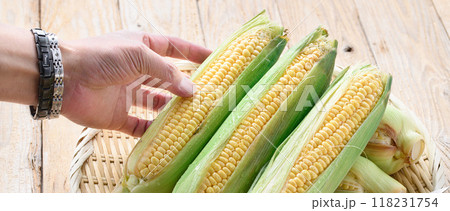 収穫したとうもろこし 118231754