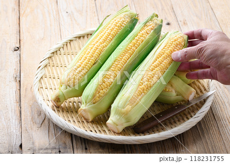 収穫したとうもろこし 118231755
