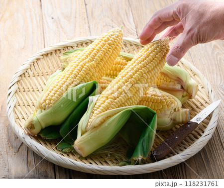 収穫したとうもろこし 118231761