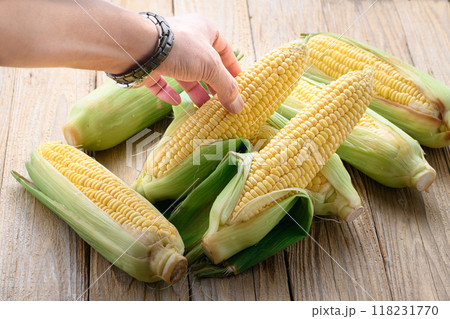 収穫したとうもろこし 118231770