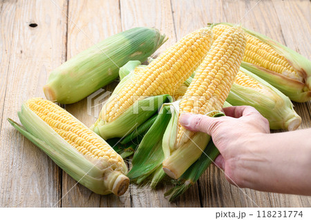 収穫したとうもろこし 118231774
