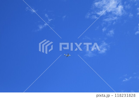 青空を飛ぶ飛行機 青空を飛ぶ飛行機 118231828