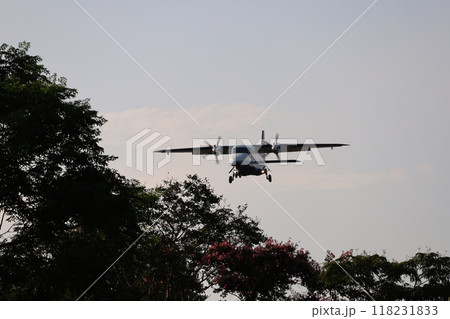 （東京・調布飛行場）　公園の木々の間から着陸してくるプロペラ旅客機 118231833
