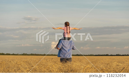 Little girl sitting on father shoulders flying over sunset dry wheat field enjoy freedom back view. Happy male parent running with daughter playing flight fantasy imagination harvest cereal plantation 118232054