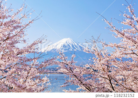 日本の春 富士山と桜 日本の春 富士山と桜 118232152