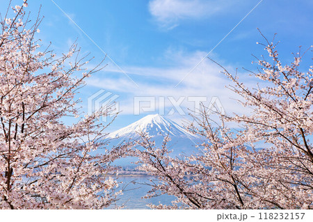 日本の春 富士山と桜 日本の春 富士山と桜 118232157