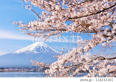 日本の春 富士山と桜 日本の春 富士山と桜 118232161