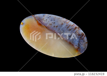 デンドリティック・アゲート 風景を宿す石 118232419