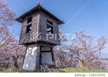 長野県伊那市 天下第一の桜と言われる高遠城址公園満開の桜と太鼓櫓 長野県伊那市 天下第一の桜と言われる高遠城址公園満開の桜と太鼓櫓 118232502