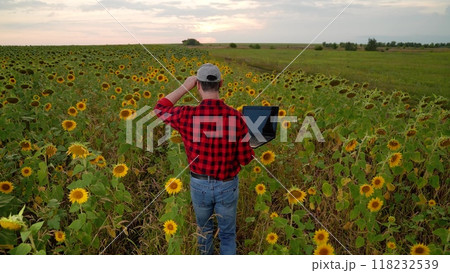 man farmer working laptop sunset sunflower field, business farmer, digital laptop, agriculture sunflower, rural business connectivity, field technology application, tech-savvy farmer working, farmer 118232539