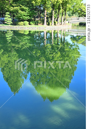 湖沼 水鏡 真夏の水辺風景 湖沼 水鏡 真夏の水辺風景 118232733