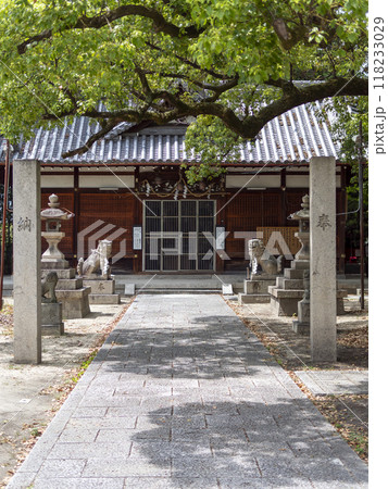 真夏の川辺八幡神社拝殿と狛犬 118233029